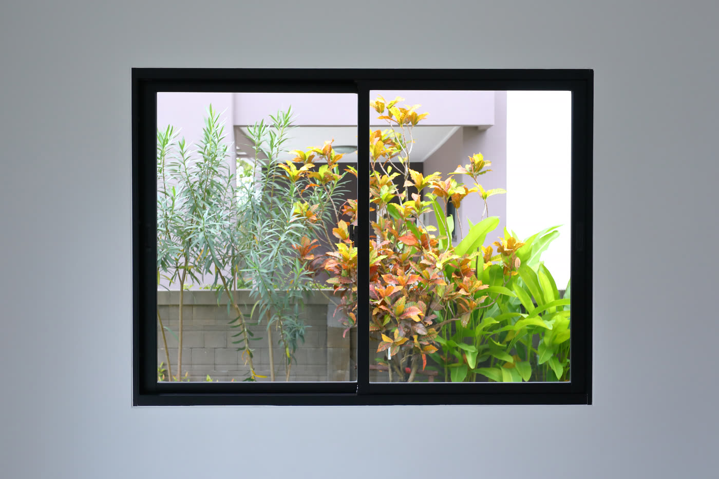A black-framed horizontal slider window looking onto planting